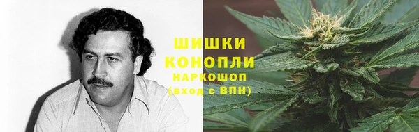 винт Гусев