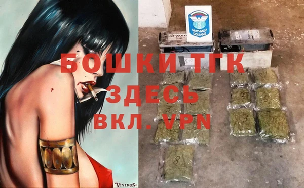 винт Гусев